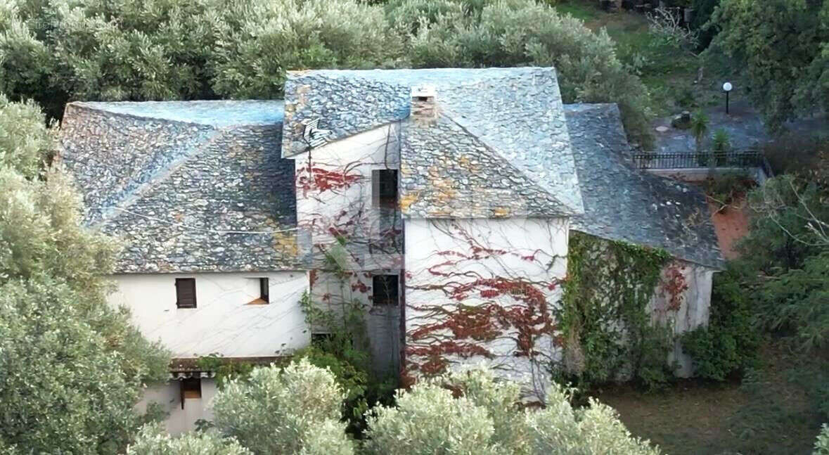 Maison à VILLE-DI-PIETRABUGNO