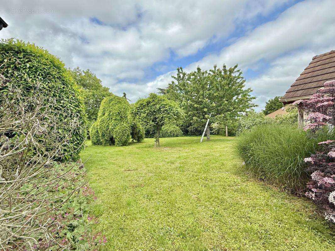 LONGERE DE CARACTERE de 500m² , 5000m² de terrain - photo 39