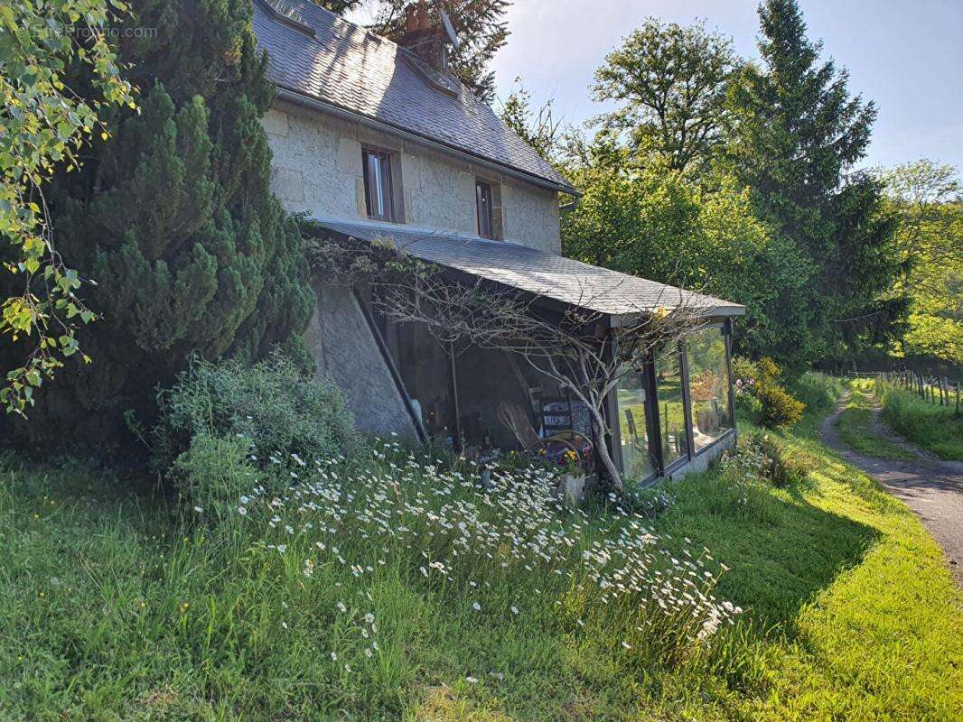 Propriété équestre Bourg Lastic 7 pièce(s) 139.28 m2 - photo 13