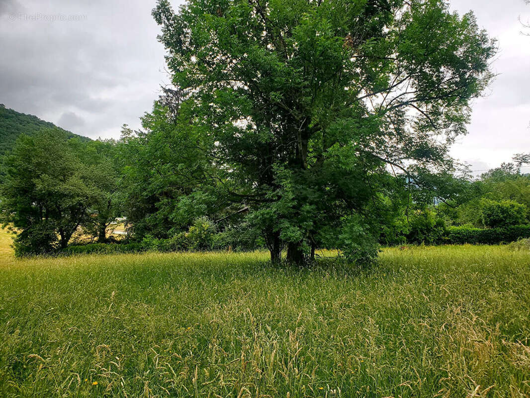 Terrain Castillon 3741 m2 - photo 4