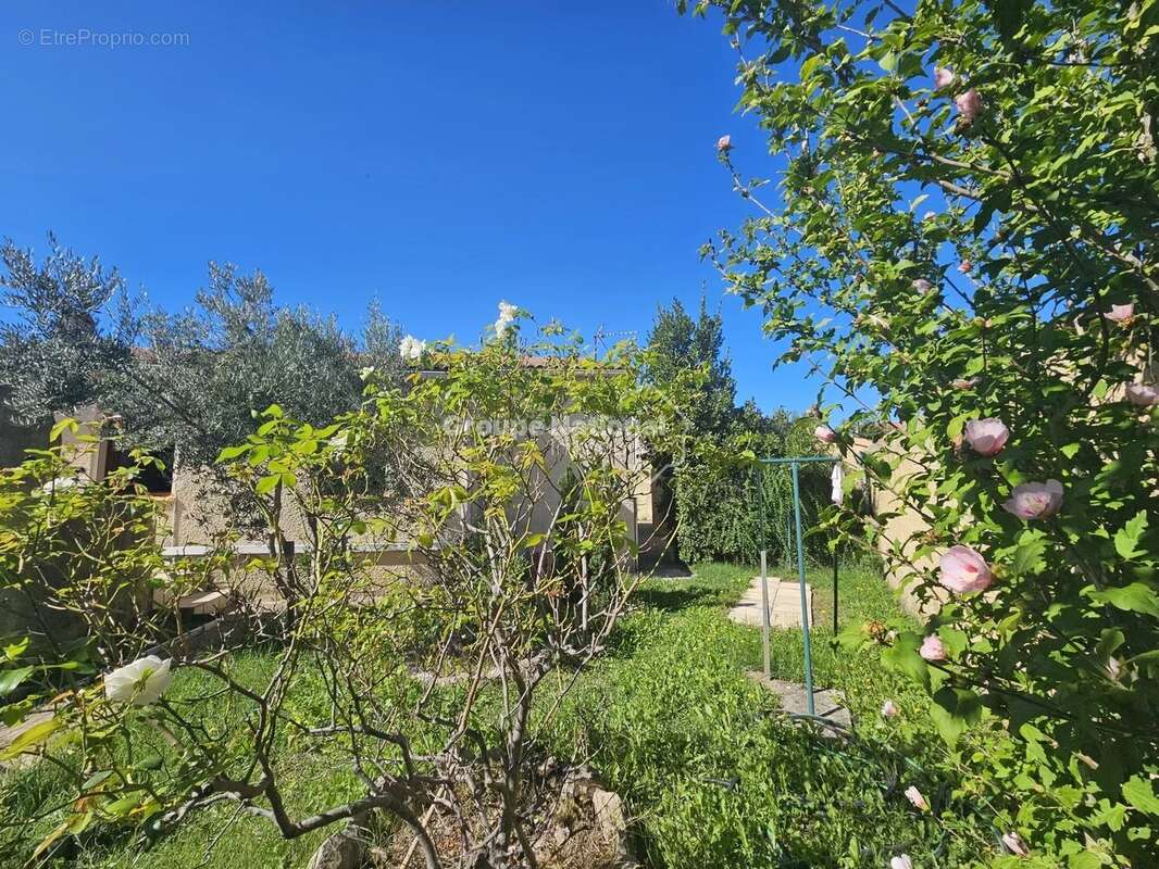 Maison à JONQUIERES