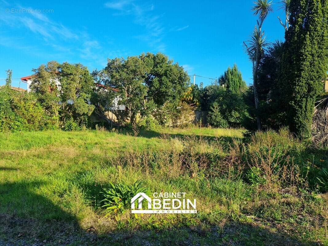 Terrain à GUJAN-MESTRAS