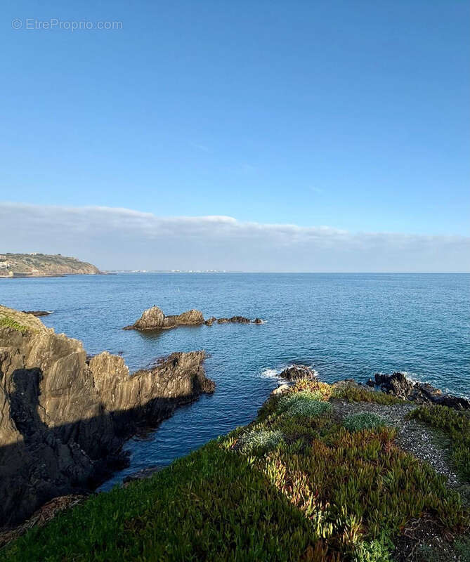 Appartement à COLLIOURE