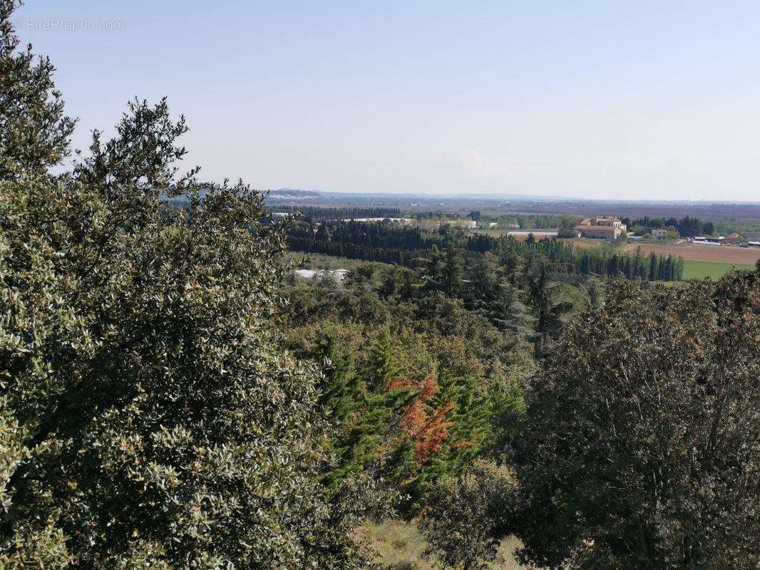 Proprià©tà© de caractà?re à  Saint-Gilles, vue panoramique sur les Alpilles â€" 350 m² sur 8 740 mÂ - photo 11
