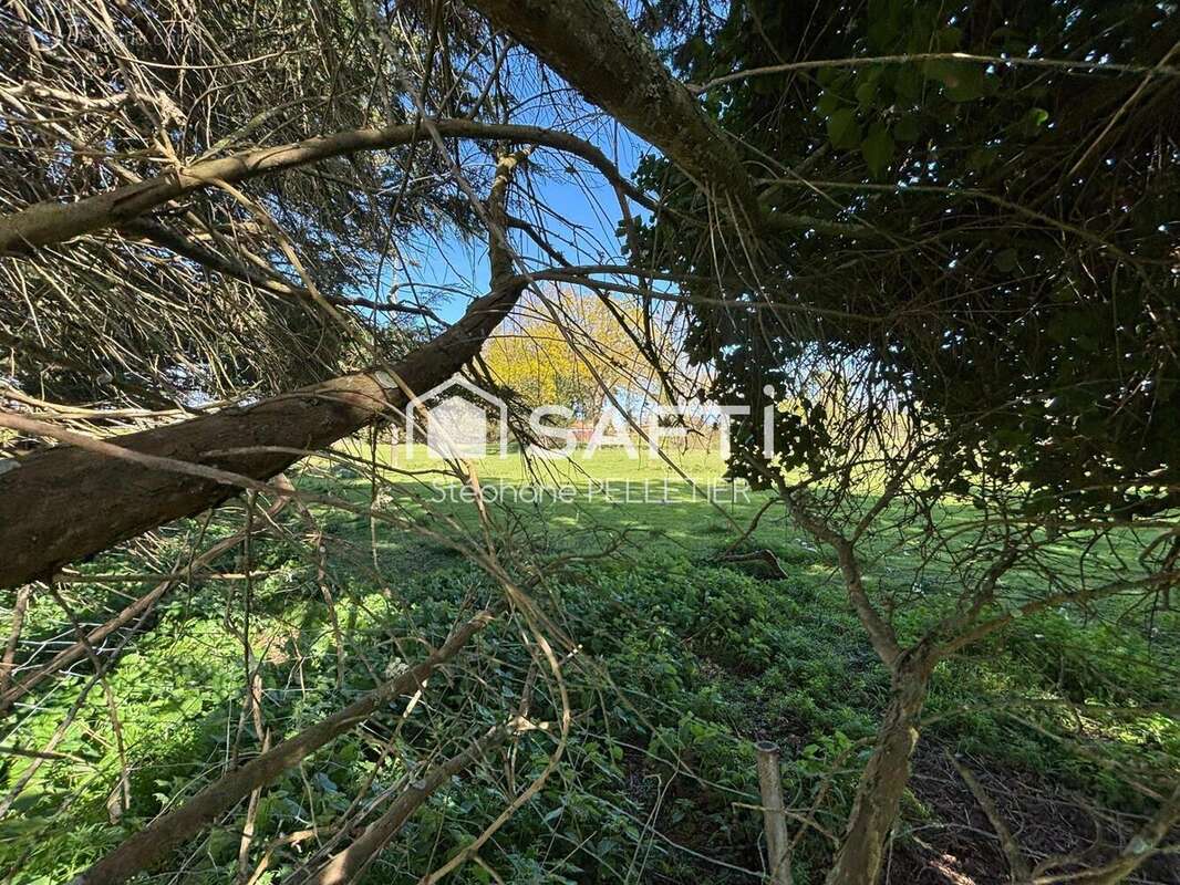 Photo 3 - Maison à PLURIEN