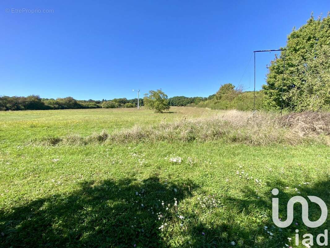 Photo 7 - Maison à SARREBOURG