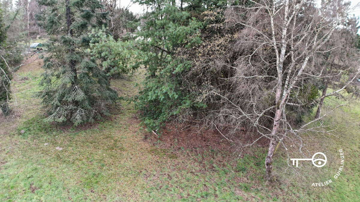 Terrain à MONTRIEUX-EN-SOLOGNE