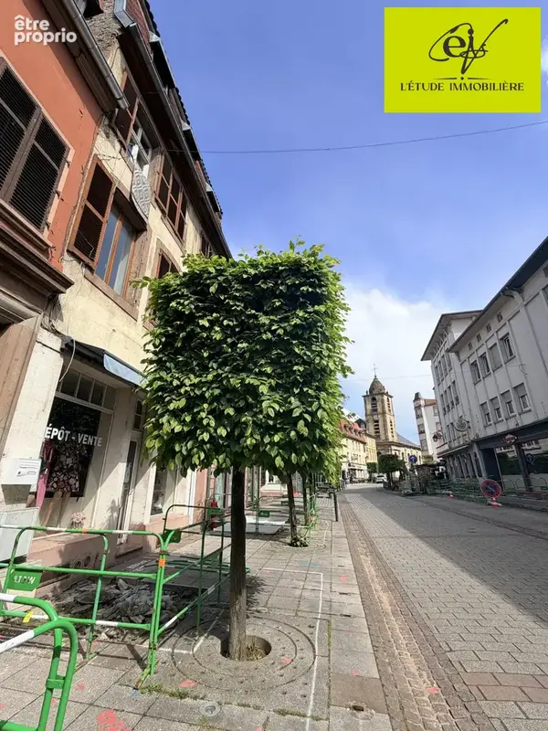 Commerce 47 m² à Sarreguemines  - photo 5