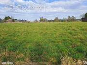 Terrain à FIERVILLE-LES-PARCS