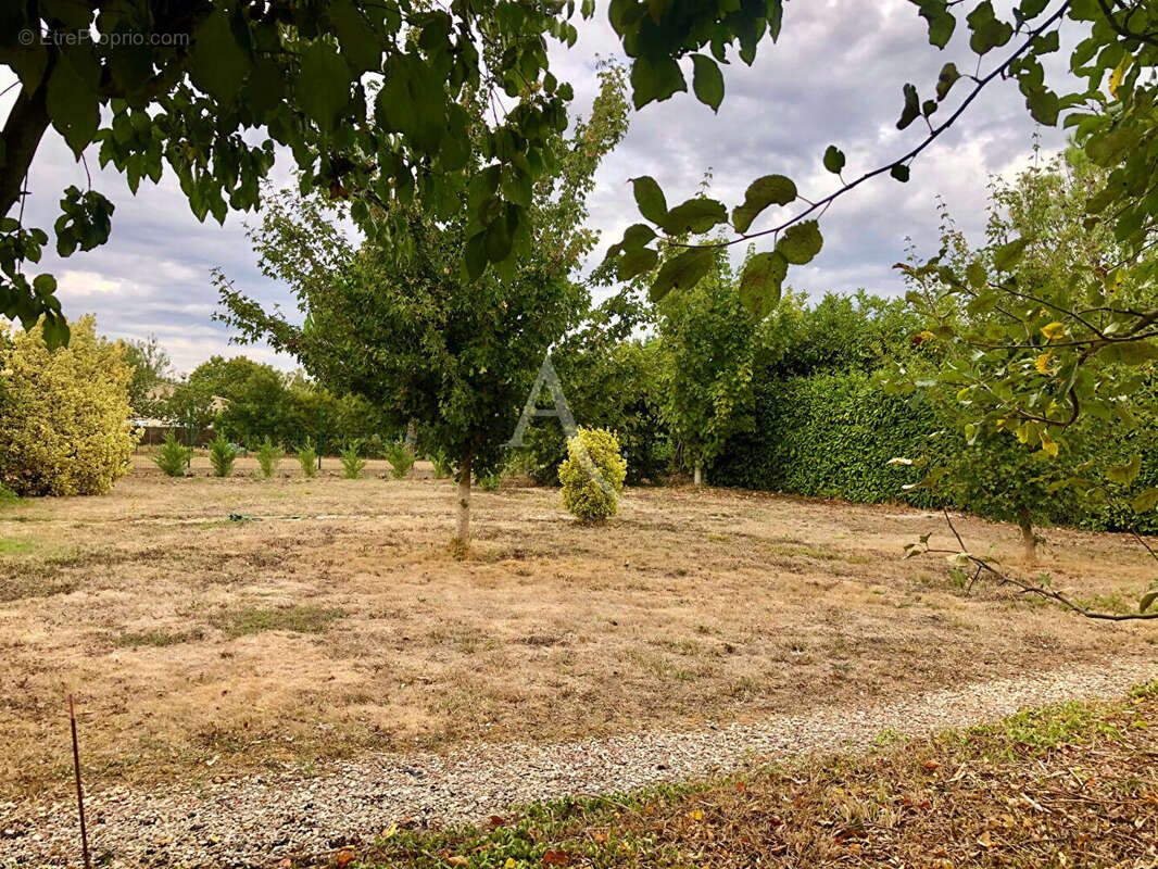 Terrain à FONTENAY-LE-COMTE