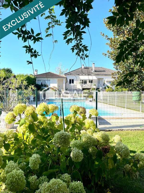 Photo 2 - Maison à ALBI