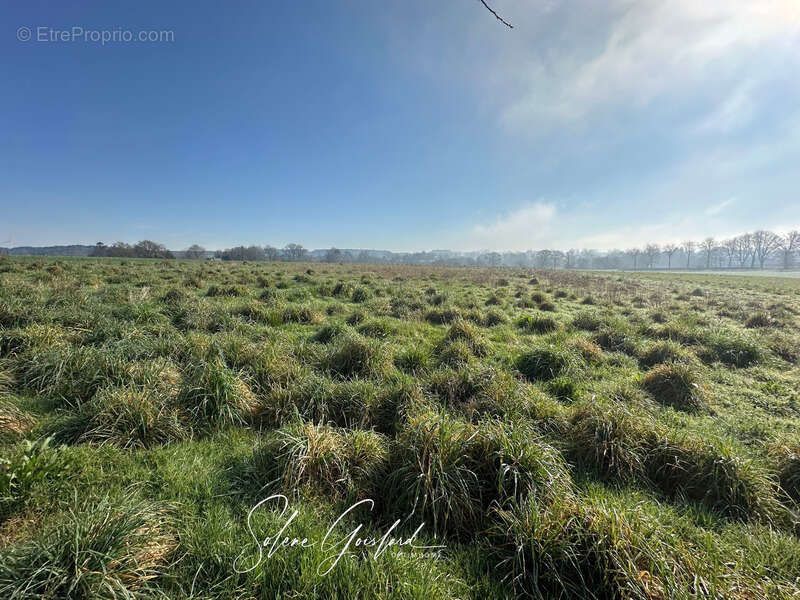 Terrain à SAINT-MARTIN