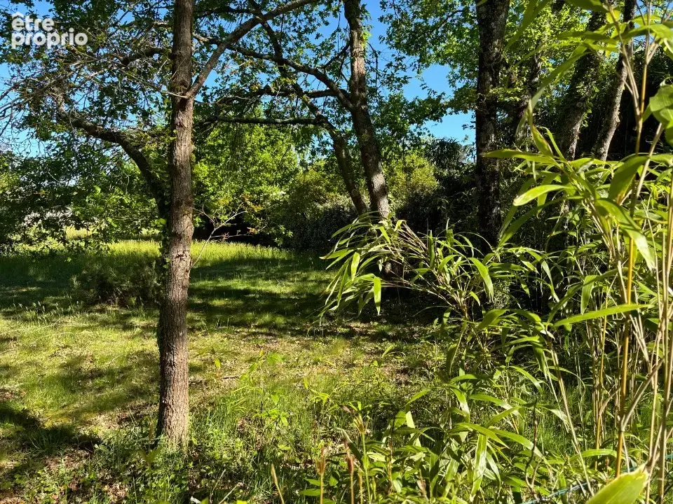Terrain à CARCANS