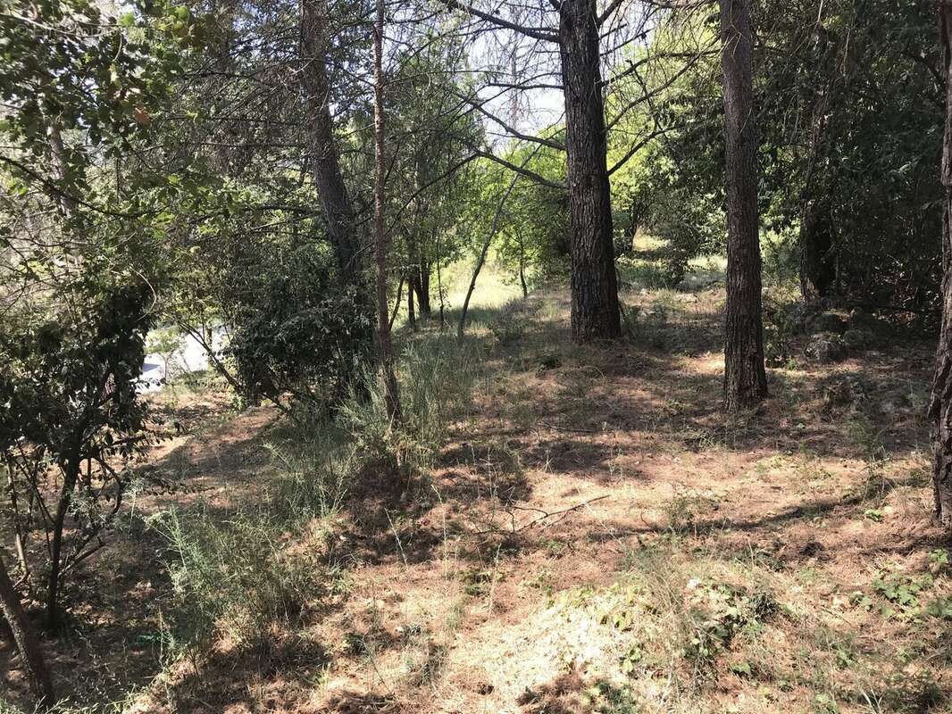 Terrain à GRASSE