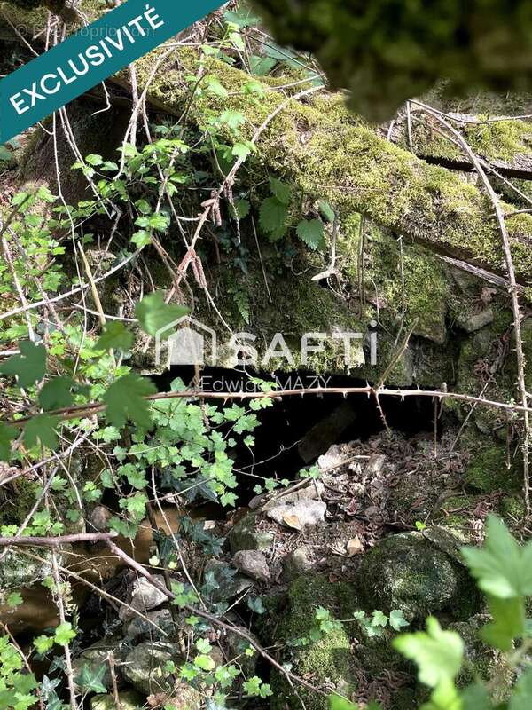 Photo 5 - Maison à ARFEUILLE-CHATAIN