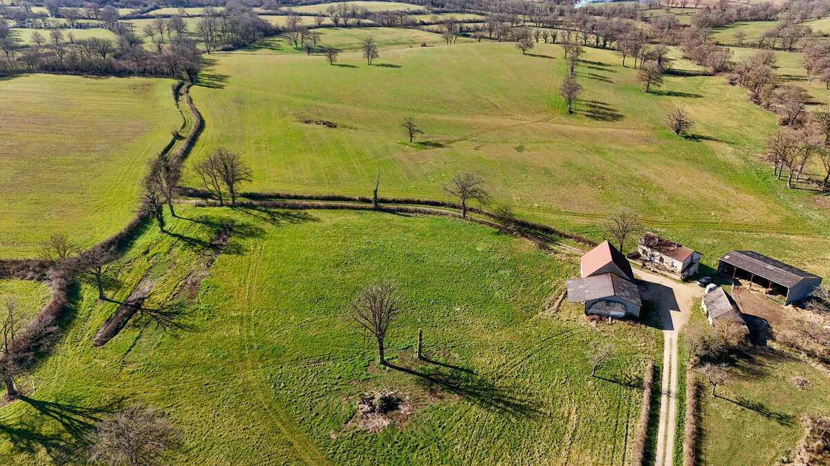 Exploitation céréalière de 170ha dans l'Allier (03) - photo 2