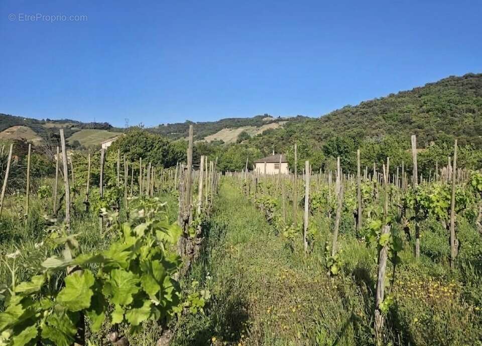Terrain 520 m² à Cornas  - photo 5