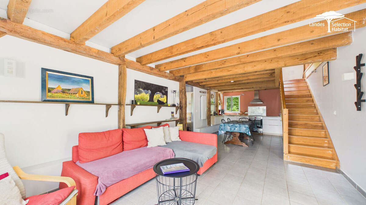 2 belles maisons landaises avec piscine et airial  (revenus gîte) - photo 10