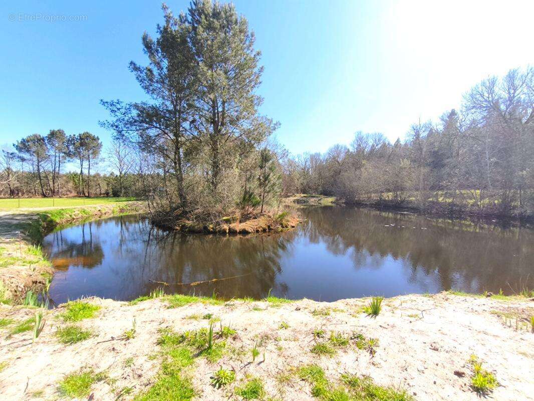 Propriété 200 m2 avec étang, piscine sur 5 hectares - photo 15