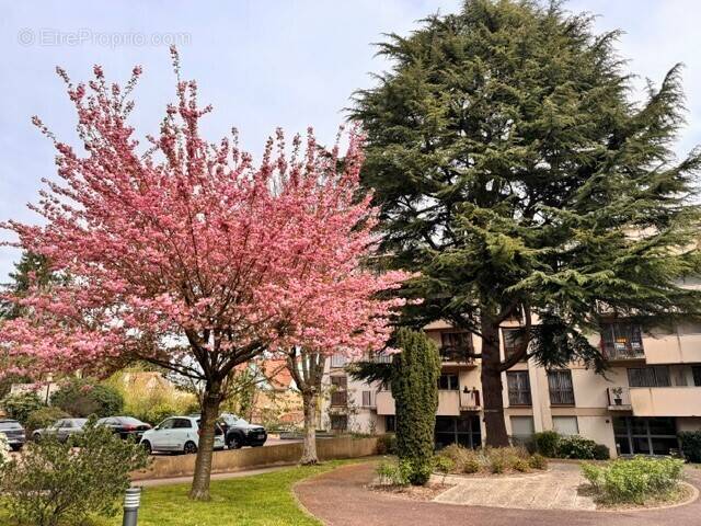Appartement à MONTGERON