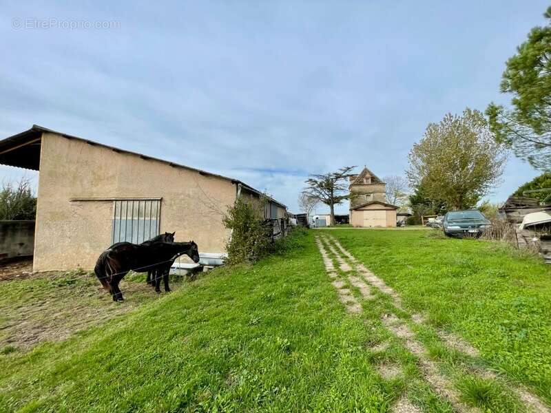 Hameau Authentique T15 à vendre, avec Maison et 6 logements indépendants et une vue panoramique-Saint-Vincent-Lespinasse (82) - photo 36
