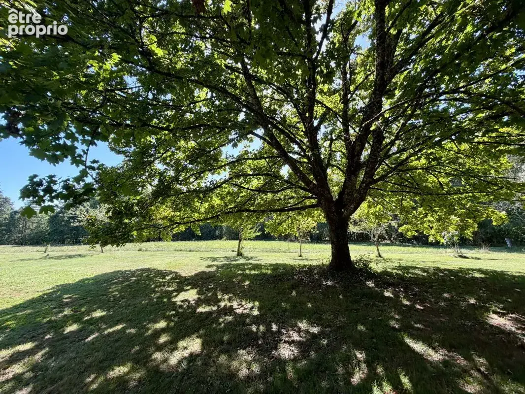 Maison de charme de plain-pied avec 2 roulottes, dépendances et plus de 4 hectares - photo 19