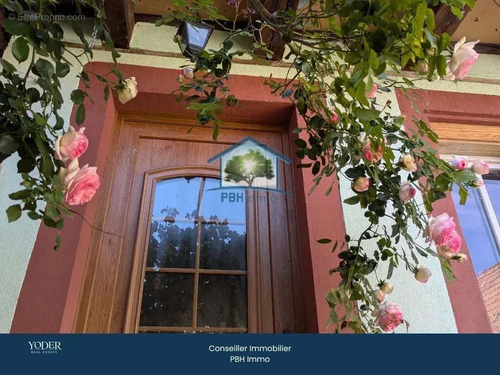 Maison à NIEDERMODERN