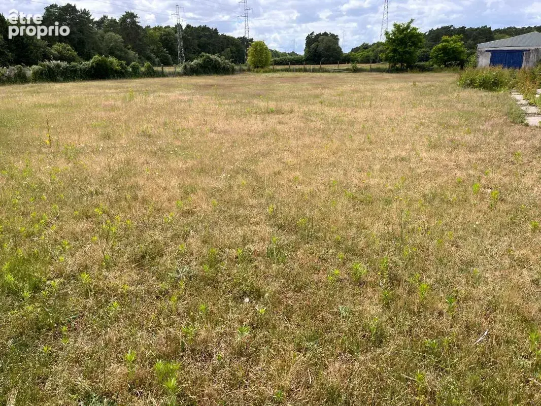 Terrain À Vendre sur  Olivet sud - photo 6