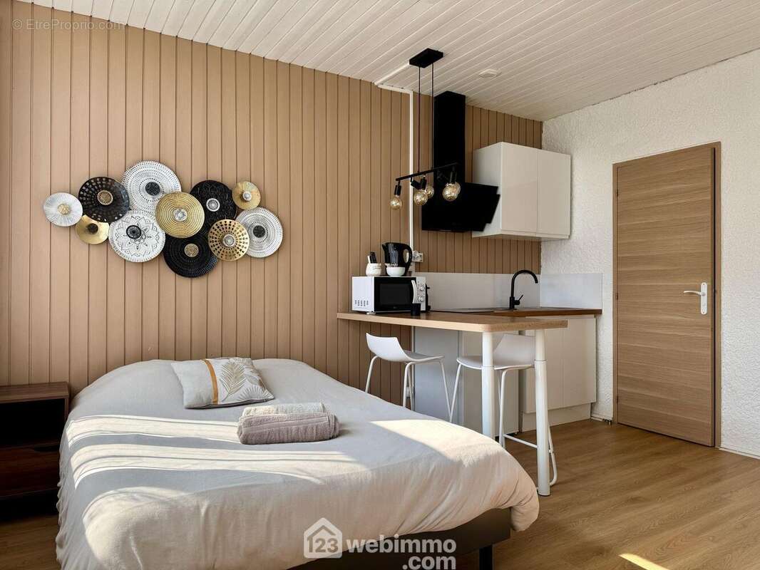 L'entrée ouvre sur la pièce principale, - Appartement à CHASSENEUIL-DU-POITOU