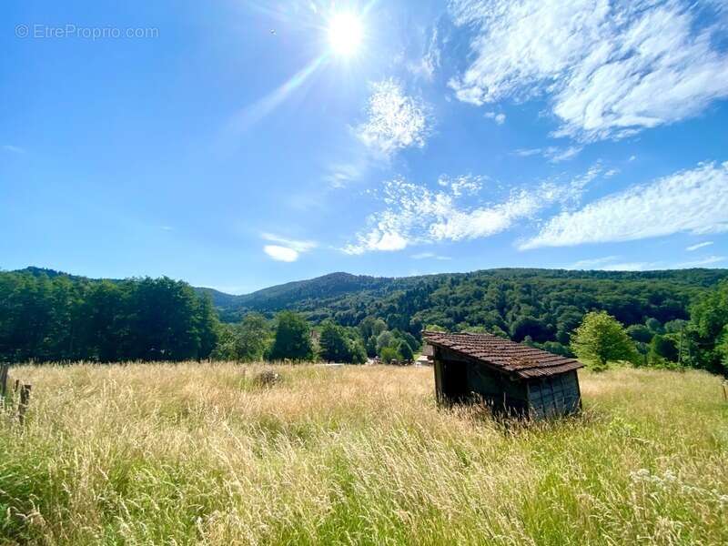 Terrain à vendre  VESCEMONT (90) - photo 2