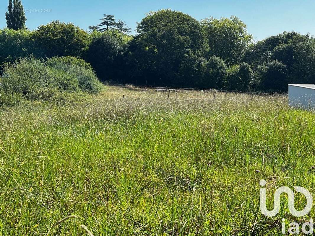 Photo 3 - Terrain à ANGLET