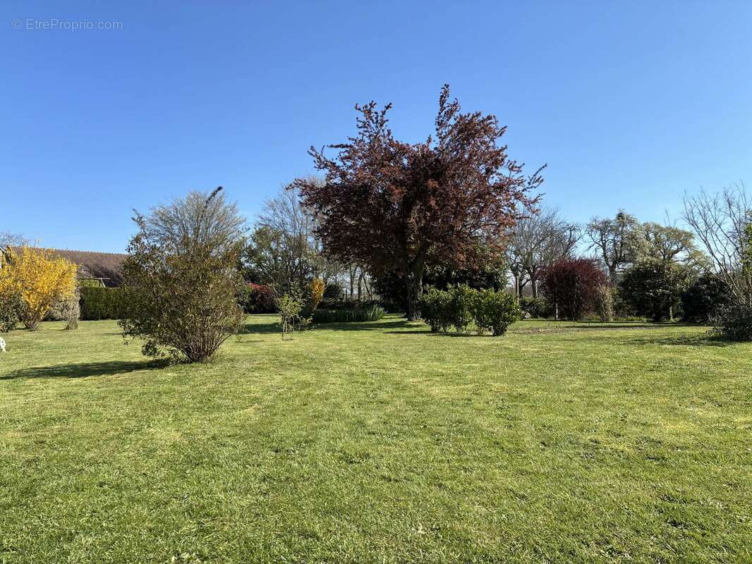Appartement à SAINT-SULPICE-LES-FEUILLES