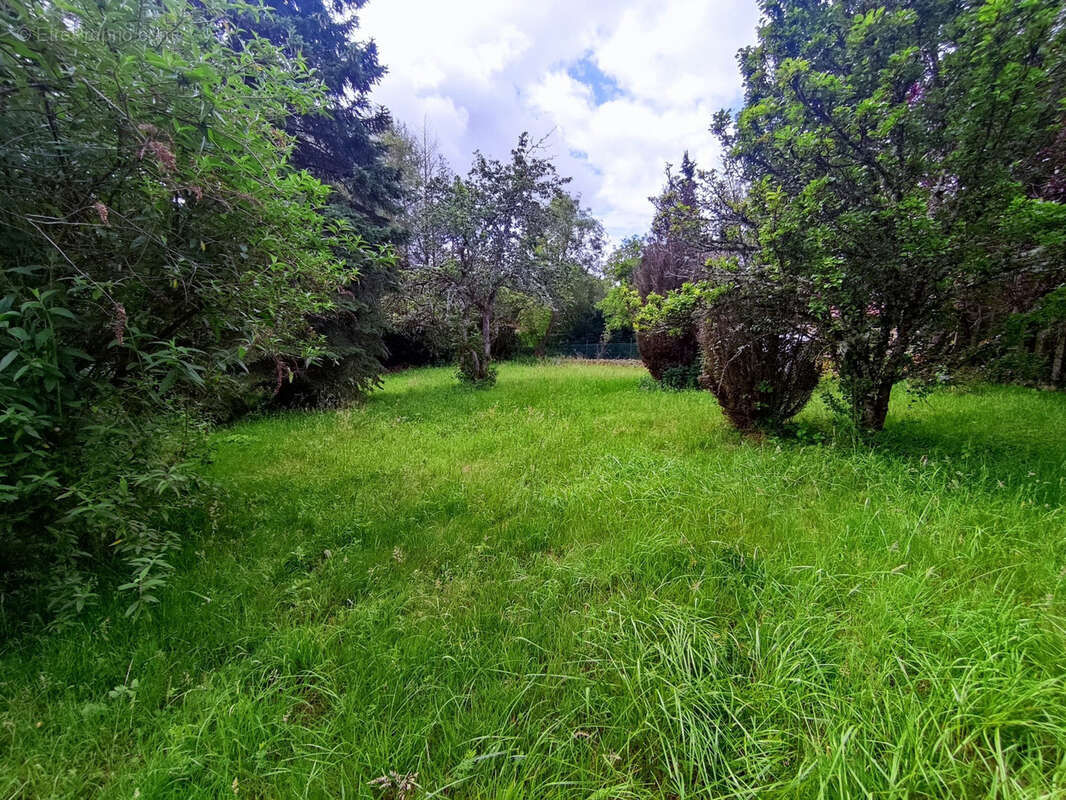 Maison de campagne - photo 3