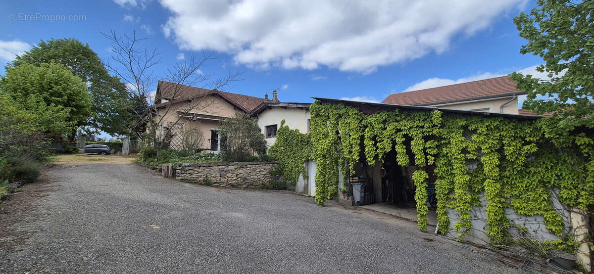 Maison à TREPT