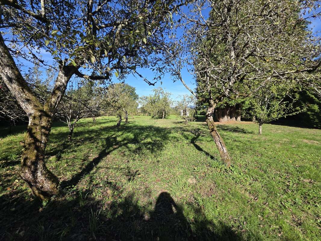 Maison à SAINT-JUST-LE-MARTEL