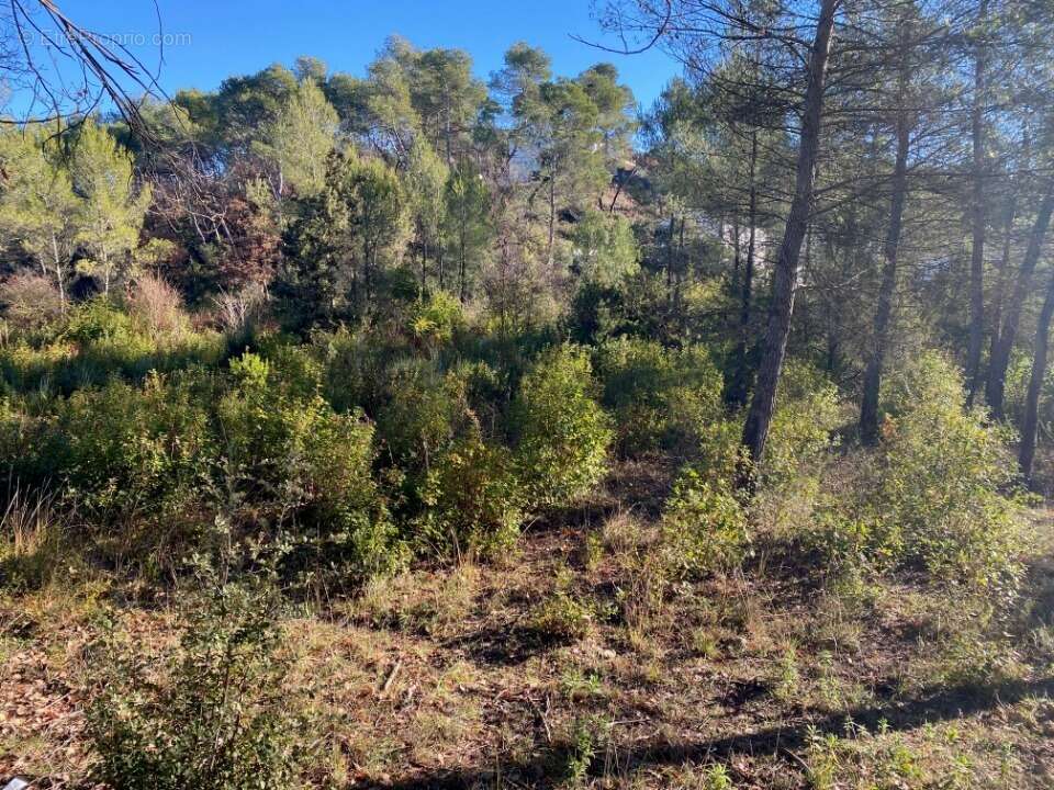 Terrain 399 m² à Brignoles  - photo 2