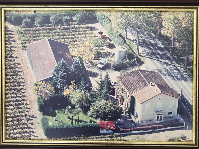 Domaine viticole 180 m² + dépendances + hangar – 6 754 m² – 15 min Carcassonne / Limoux - photo 9