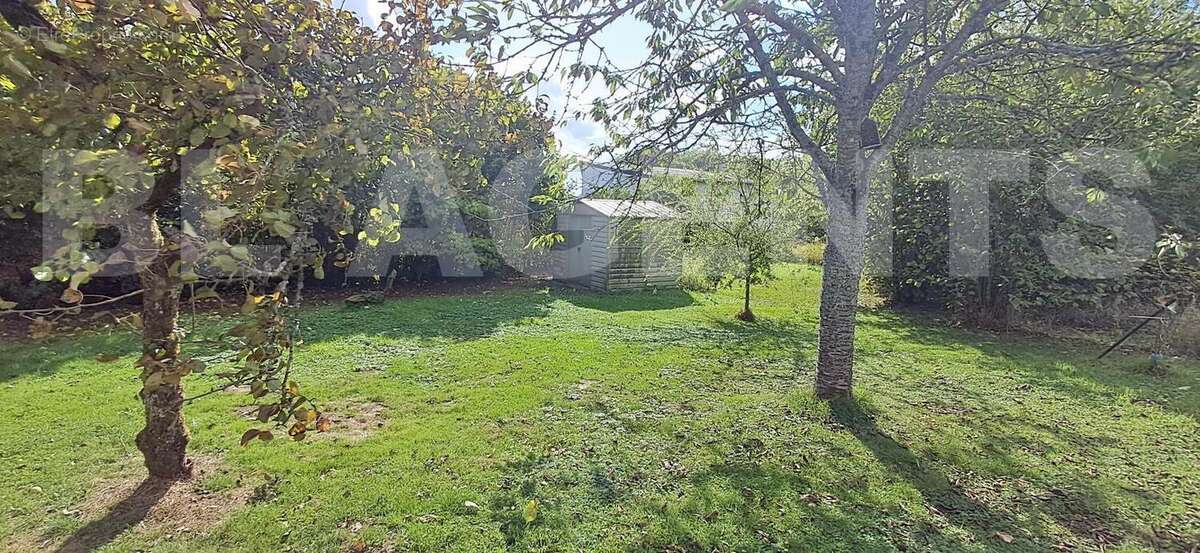 20250915_154639 - Maison à VIVIER-AU-COURT