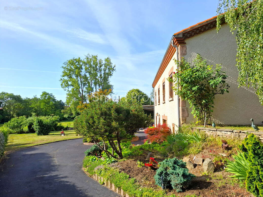 Arvant - Maison de plain pied - 115m2 - 3 chambres - 4500m2 de parcelles construtibles - photo 4