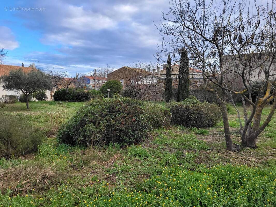 Photo 1 - Terrain à FERRALS-LES-CORBIERES