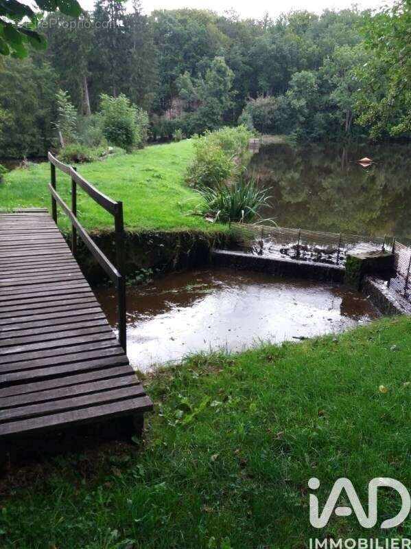 Photo 4 - Terrain à DONTREIX