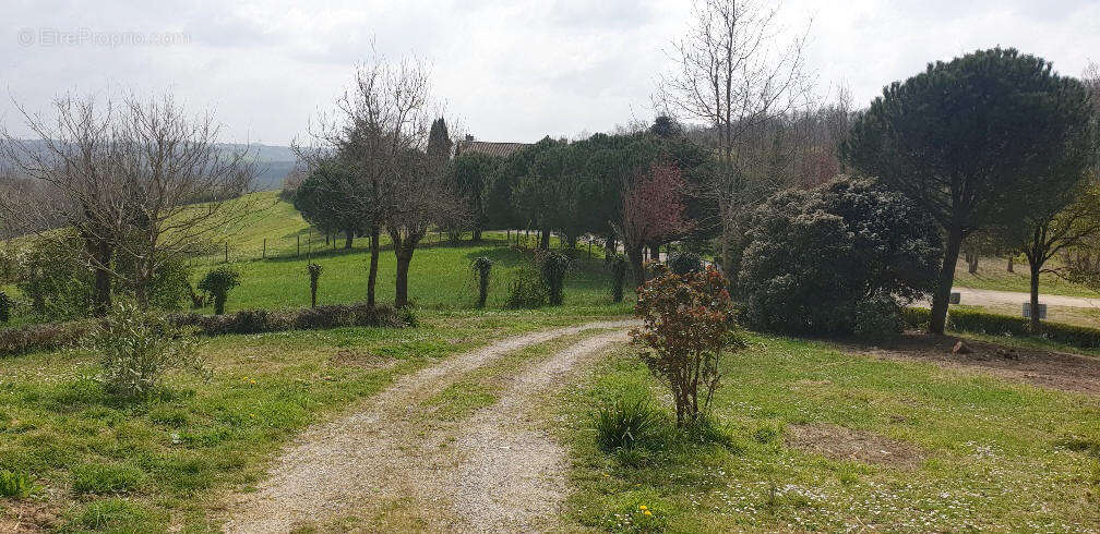 Maison à LAFRANCAISE