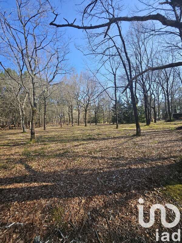 Photo 9 - Maison à SORT-EN-CHALOSSE