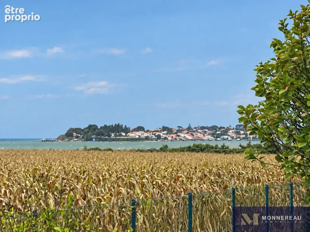 Ensemble de deux maisons avec grand jardin et vue sur l'estuaire - photo 2