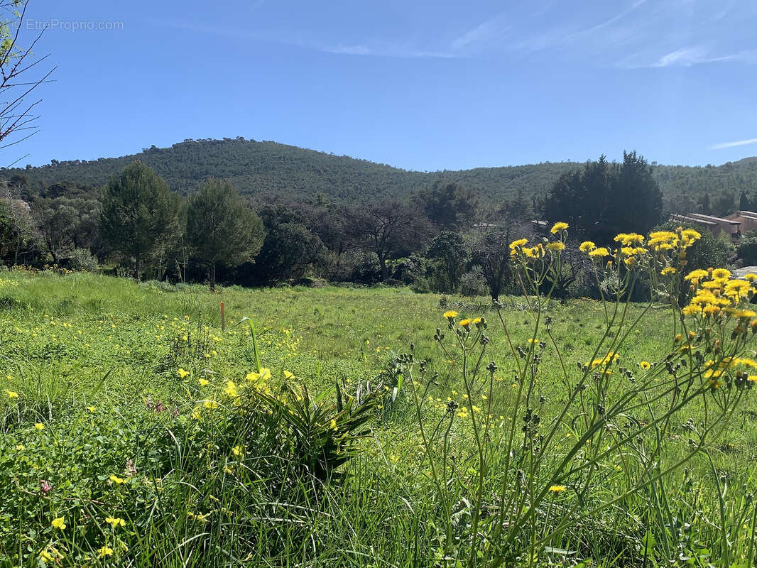 Terrain à LE PRADET