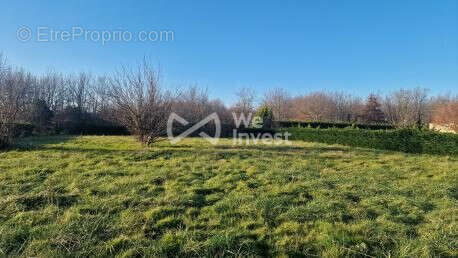Terrain 882 m² à Castelsarrasin  - photo 5