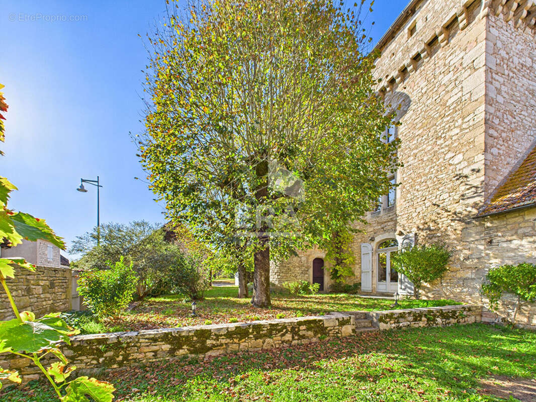 Demeure de Prestige 377m² à ambeyrac - photo 5