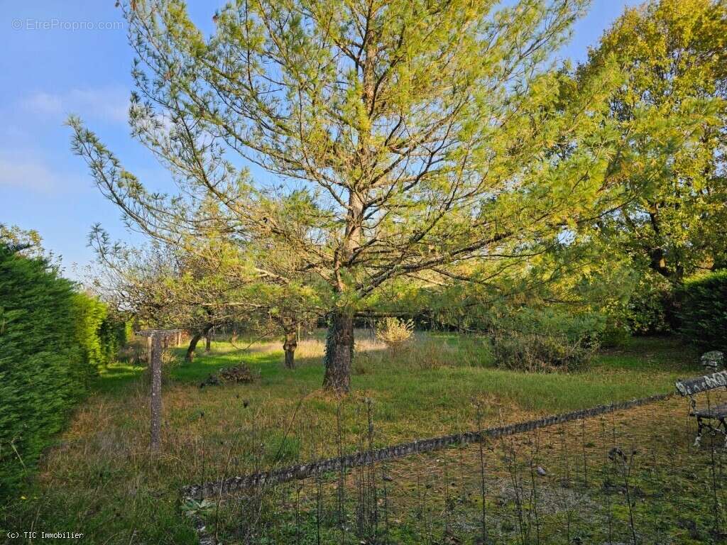 Maison à VERTEUIL-SUR-CHARENTE