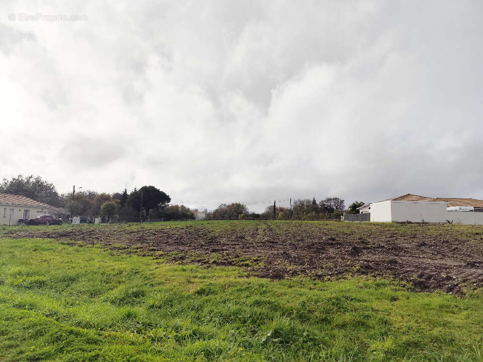 Terrain à CUSSAC-FORT-MEDOC