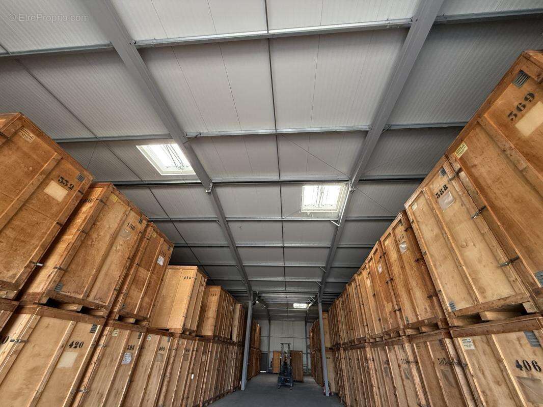 Commerce à SARROLA-CARCOPINO